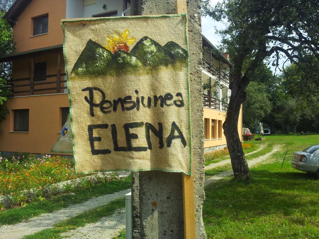 Pensiunea Elena Vistisoara 客房 照片
