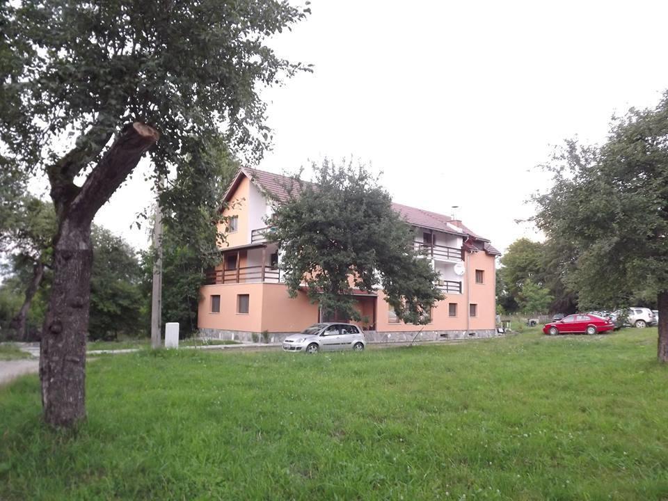 Pensiunea Elena Vistisoara 外观 照片